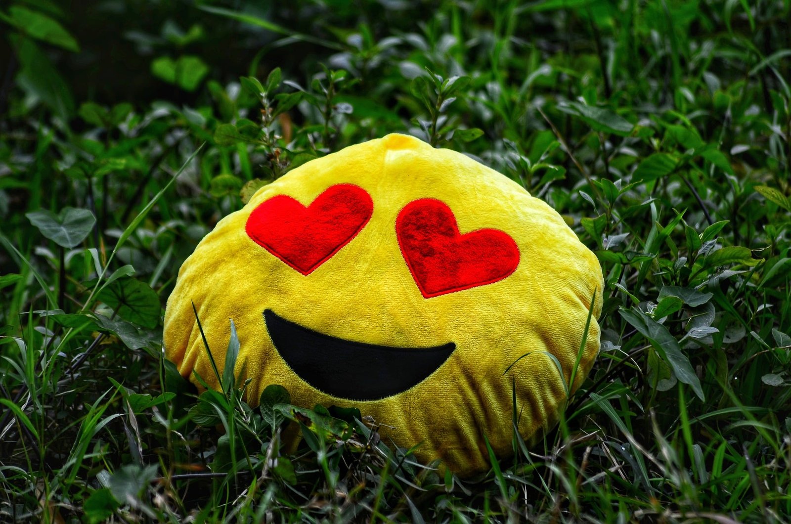 Do you like your name?? 🤔