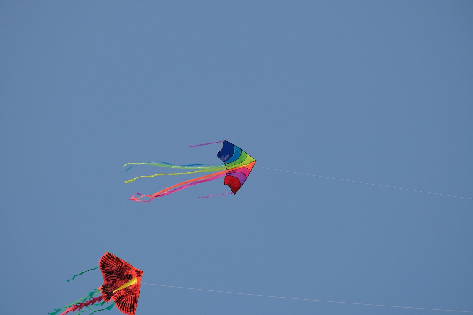 When you work, your brain operates like…