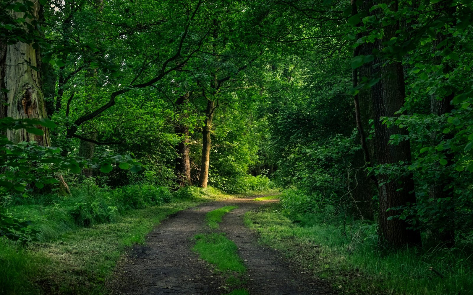 Where Are You Chilling Right Now?