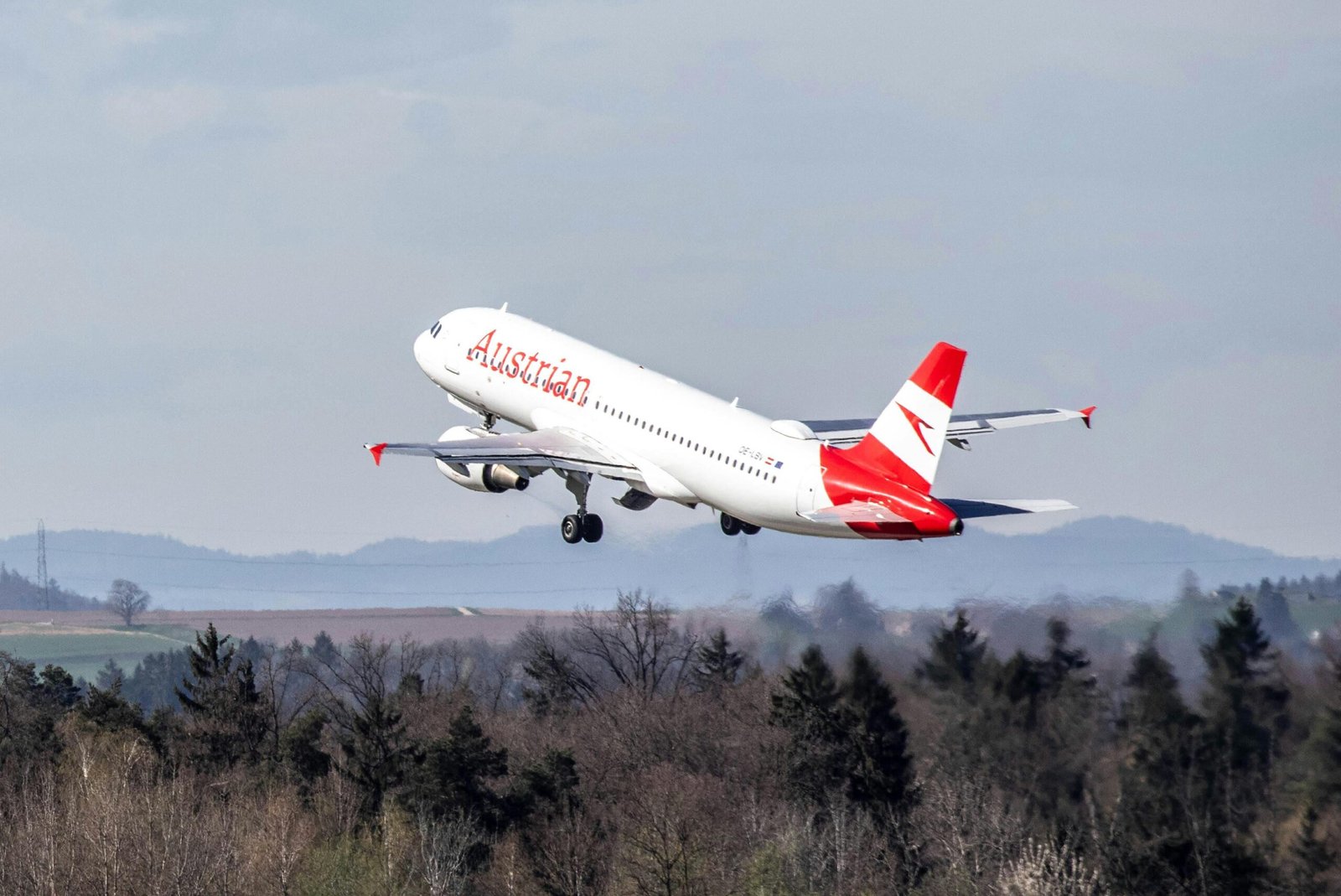 If a Demogorgon Attacked, Where Would It Strike First?