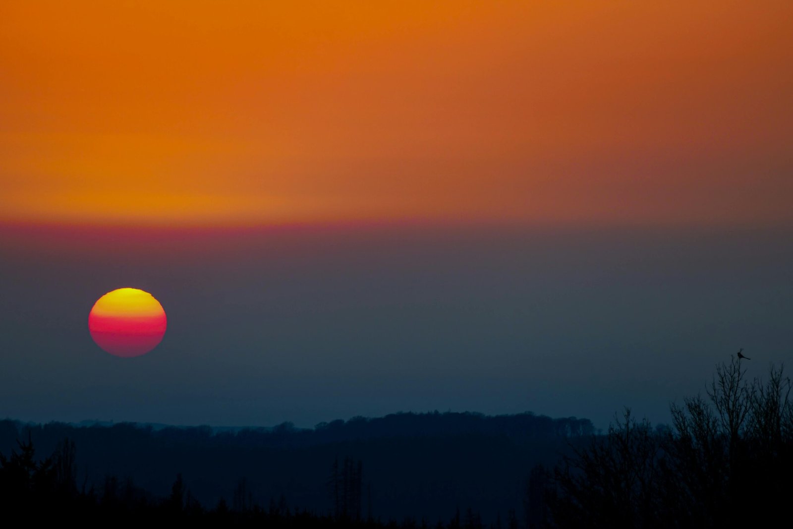 Pick the color that matches this object: