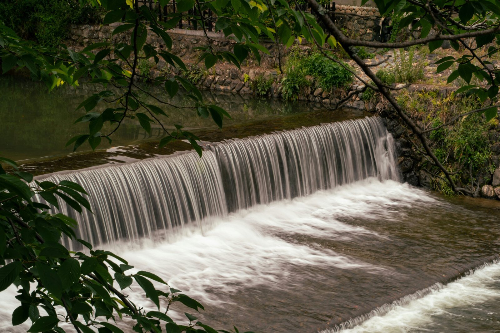 When you try to focus, your mind feels like…