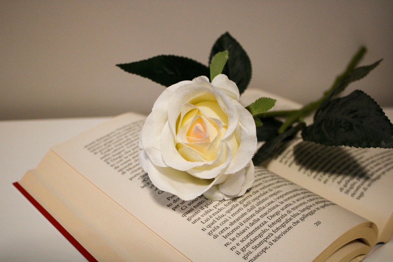 Which background helps you read better?